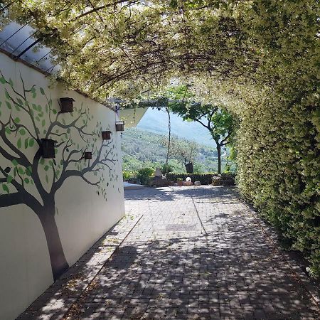 #Ioniahouse Surrel Villa تيرانا المظهر الخارجي الصورة