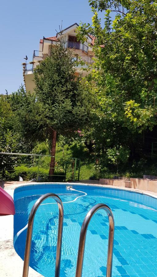 #Ioniahouse Surrel Villa تيرانا المظهر الخارجي الصورة