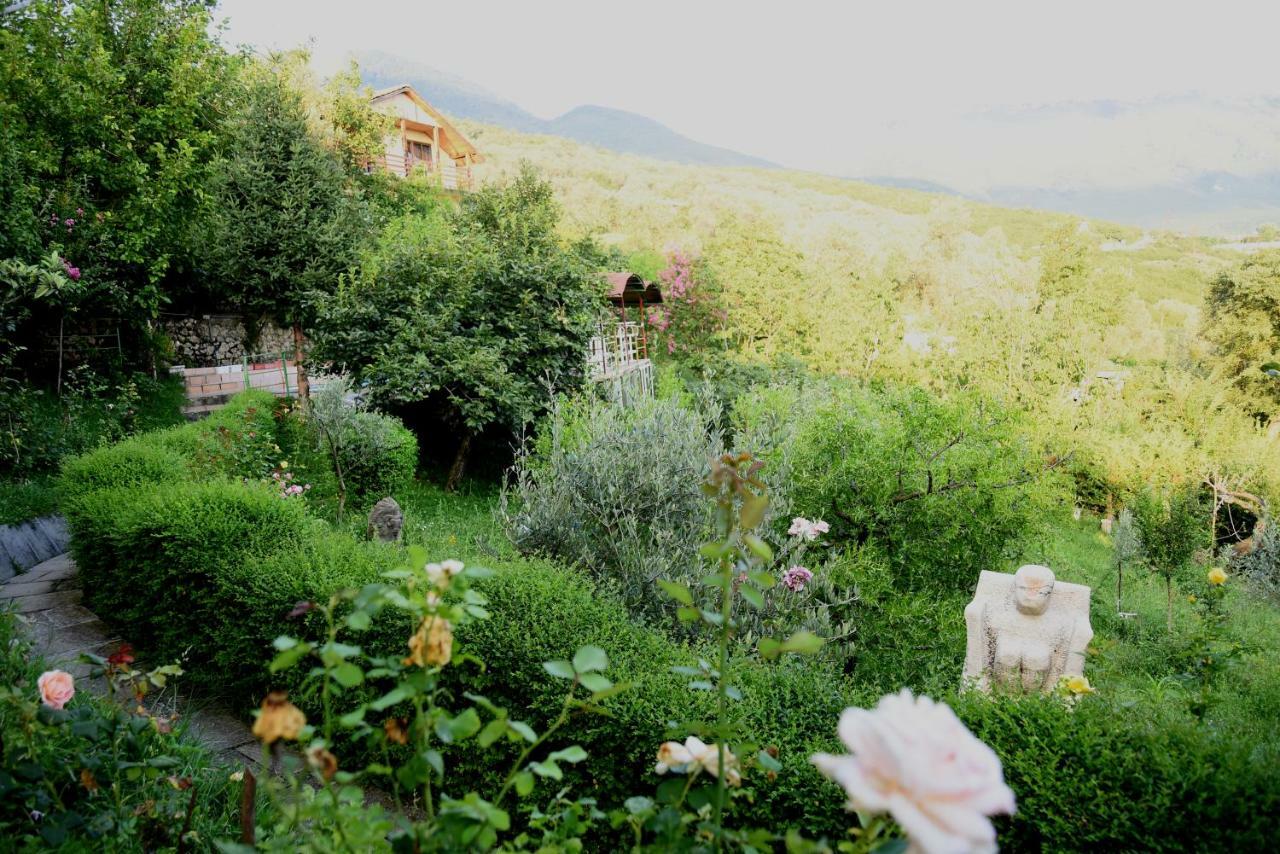 #Ioniahouse Surrel Villa تيرانا المظهر الخارجي الصورة