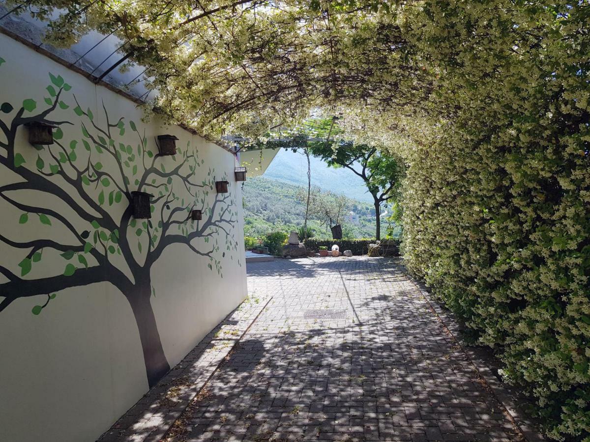 #Ioniahouse Surrel Villa تيرانا المظهر الخارجي الصورة